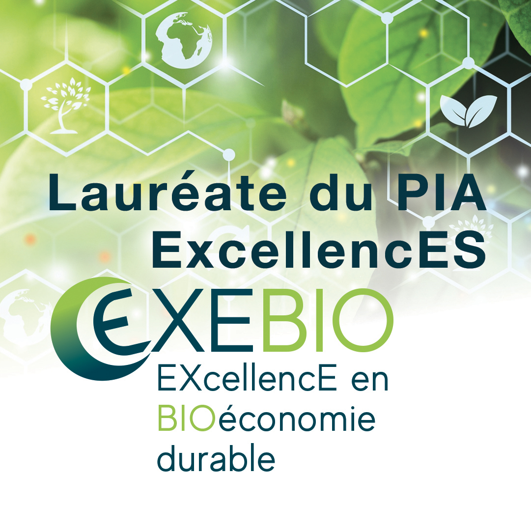 universitereims's tweet photo. L’@universitereims lauréate du PIA #ExcellencES avec #EXEBIO #bioéconomie #environnement #France2030 @sup_recherche @sretailleau @SGPI_avenir  @BrunoBonnellOff https://t.co/NlzvE1W0Nz