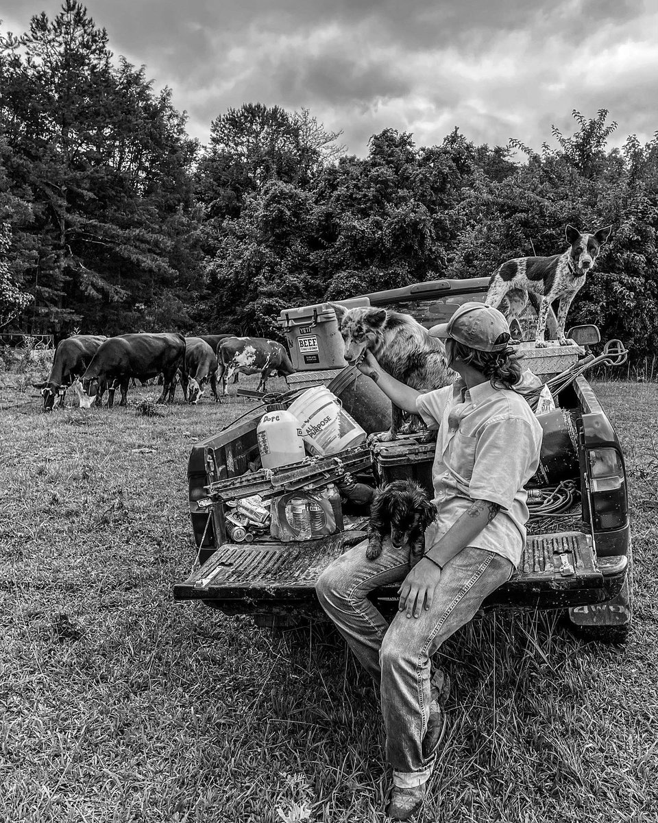 howling_coyotee's tweet image. The best crew 💪🏻

Shop thehowlingcoyotee.com “coyote wear”