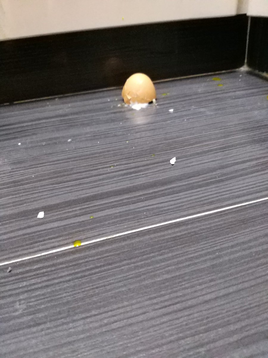 TsubomiZakura's tweet photo. A Broken EGG #Mystameals https://t.co/ur8rbsReI5