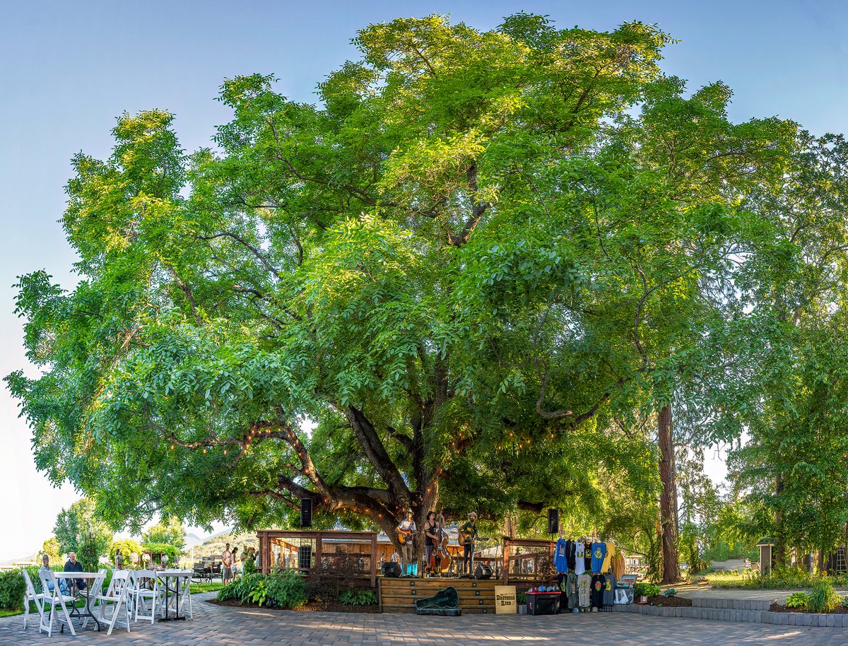 The Brothers Reed @ Pheasant Fields Farm
<a href="/thebrothersreed/">The Brothers Reed</a> traveljapanblog.com/ashland/2022/0…