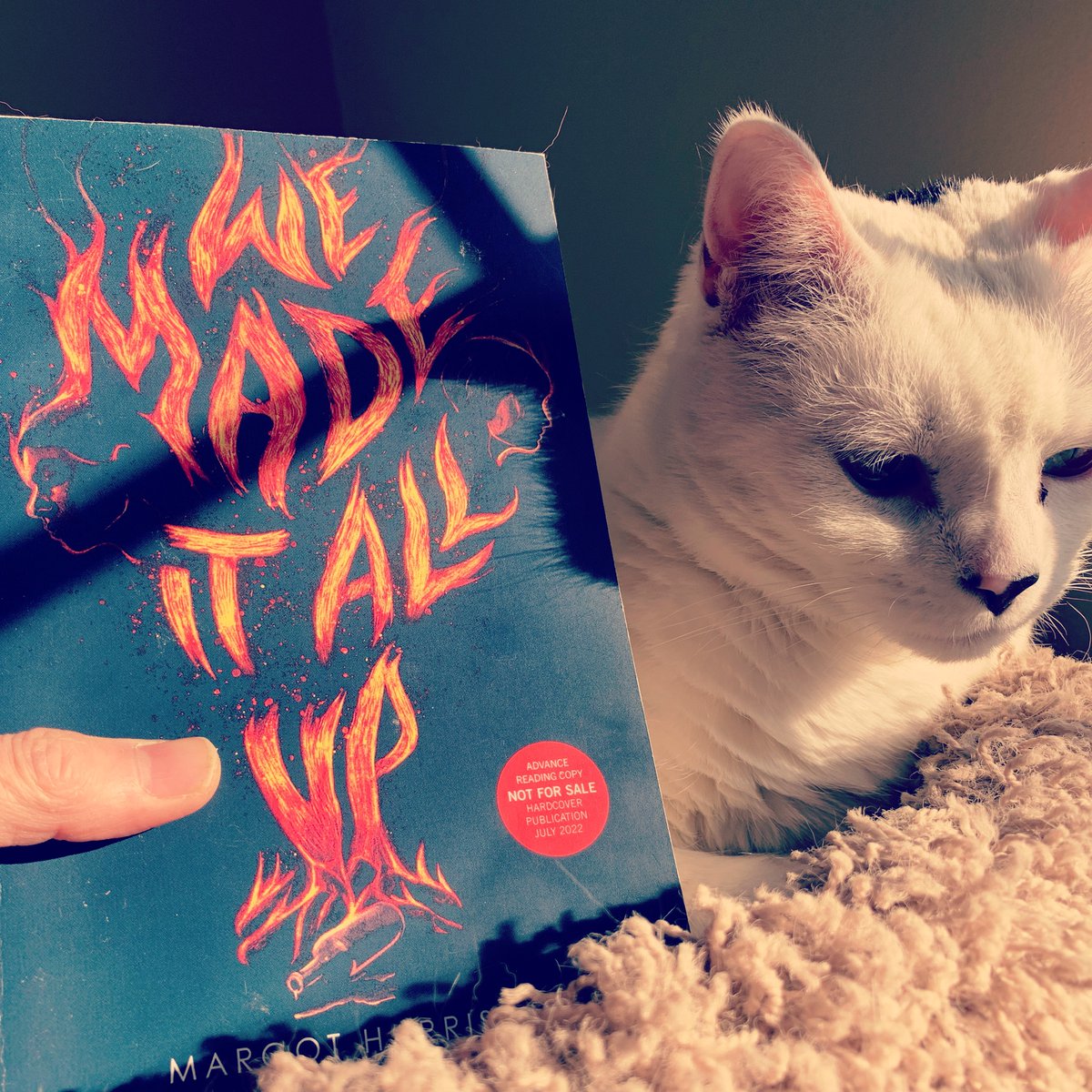 MargotFHarrison's tweet image. We Made It All Up is out today! This is a book for the teenage girl I was, who wanted desperately to be on stage but was also terrified of attracting attention because sometimes it led bad places. So she poured things out on the page instead.