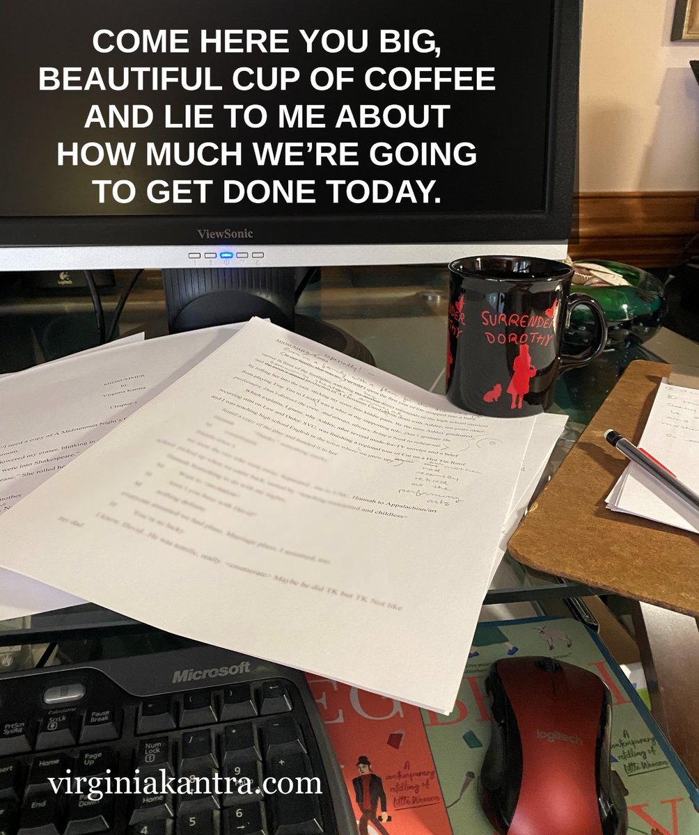 Virginia Kantra tweet media