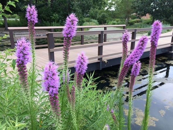 MO Conservation tweet media