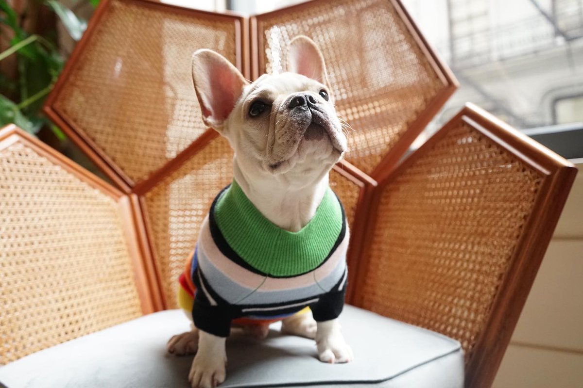 Design details from a different perspective 🛋️ 

via <a href="/rubyrufus/">ruth george</a>