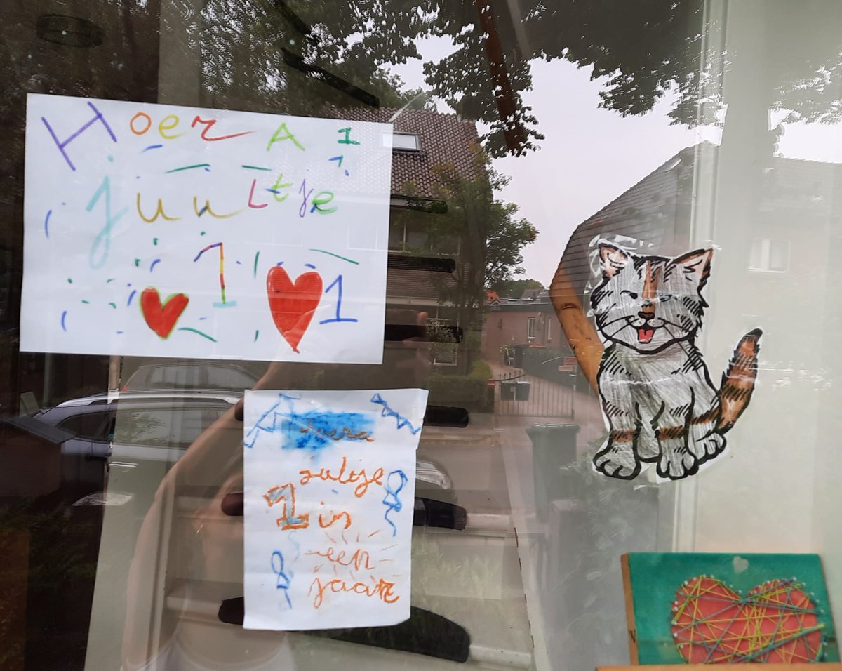 onze kitten wordt vandaag 1 jaar. Nora laat het niet zomaar voorbijgaan...