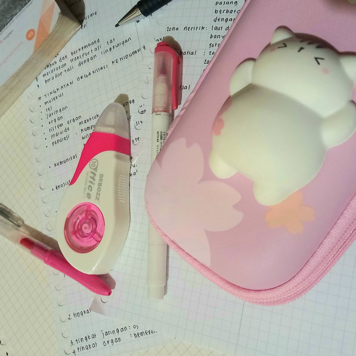 melodtdy's tweet photo. #ccmiestryprogress [220712]
—
aku nyatet biologi lg setelah seminggu mogok nyatet. hari ini semua paketku datengg jd kayanya lebih semangat AHAHAH terus aku ngedeco laptop, sm set up wallpaper laptopku soalny kemarin abis service jd default semua 😞 itu aja hari ini, nitenitee <3 https://t.co/6Jo0wRsOT2