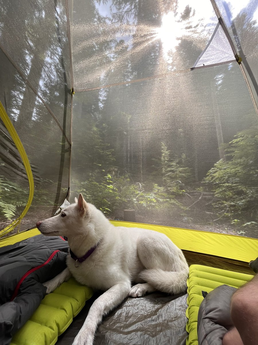 skylerhug's tweet image. Fun trip this weekend backpacking in the snow