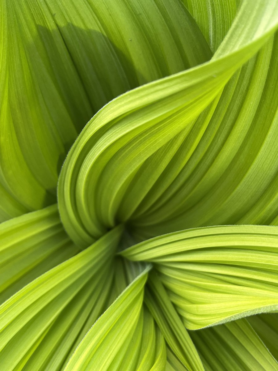 skylerhug's tweet image. Fun trip this weekend backpacking in the snow