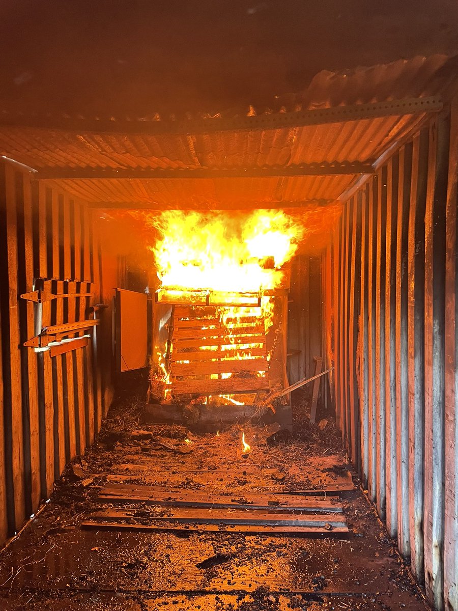 t_rav_swizzle's tweet image. A recent rookie training burn in the heat… they didn’t do too bad for their first #rookiecookies #FireSchool #Instructing