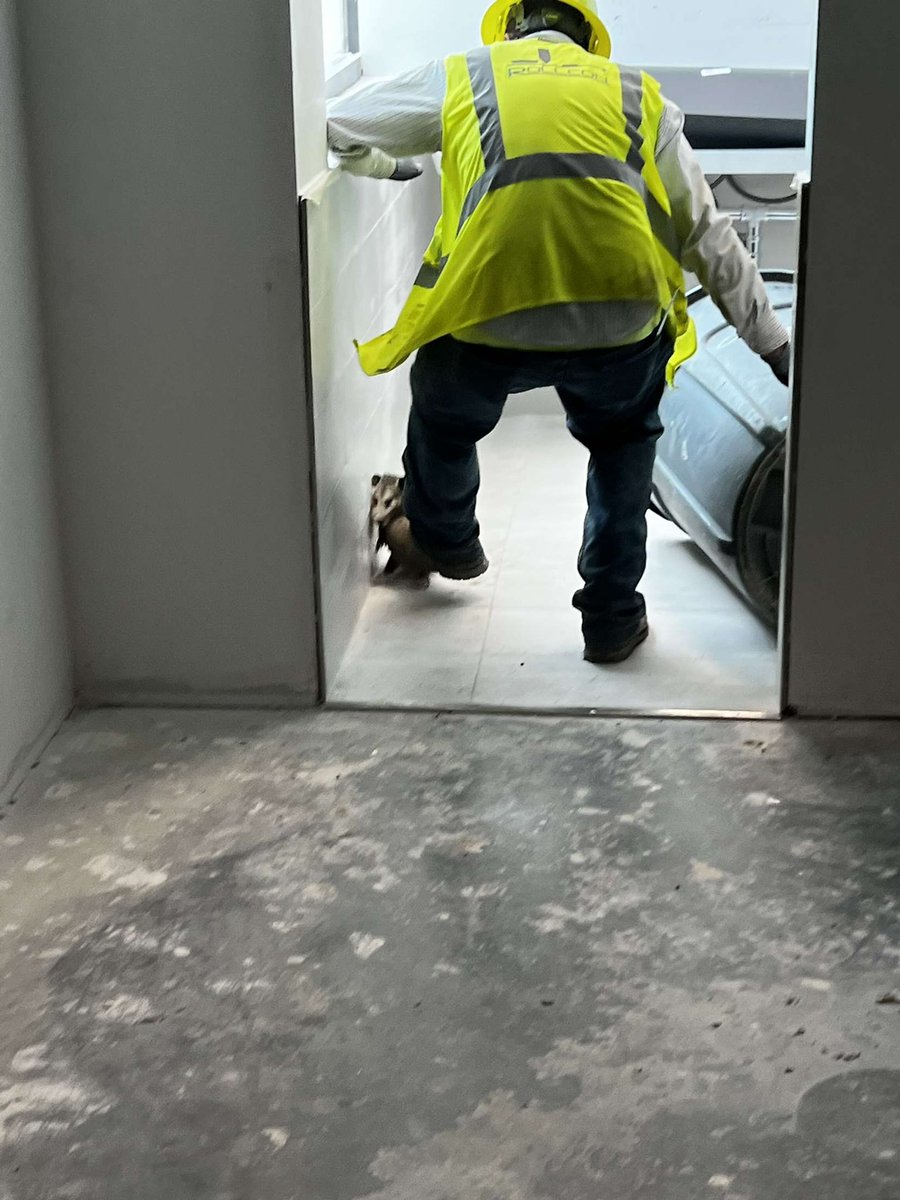 daninternet's tweet photo. coltin won’t let me call the opossums cute. they keep showing up at his job site https://t.co/dEbSUTkBUx