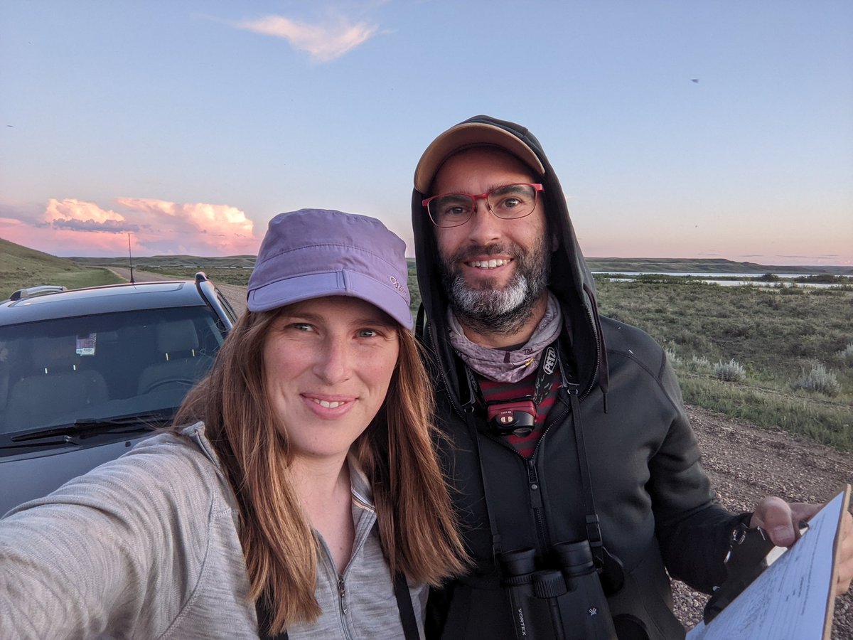 juliaeput's tweet photo. Taking advantage of some good weather evenings for the @BirdsCanada Canadian Nightjar Survey. Last night we had 28 Nighthawks and 1 Poorwill in Grasslands National Park. With so many Nighthawks, keeping track of each individual is quite a challenge! https://t.co/sIsHBYM4RQ