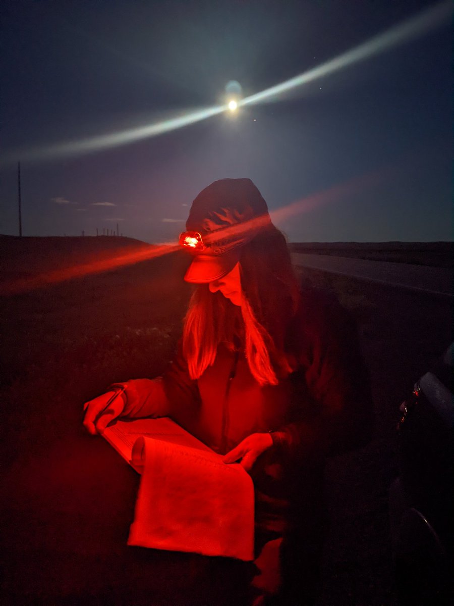 Taking advantage of some good weather evenings for the <a href="/BirdsCanada/">Birds Canada</a> Canadian Nightjar Survey. Last night we had 28 Nighthawks and 1 Poorwill in Grasslands National Park. With so many Nighthawks, keeping track of each individual is quite a challenge!