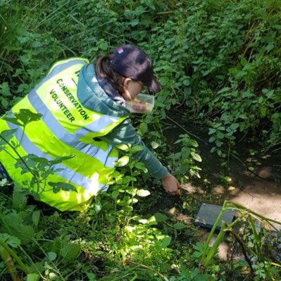 wright_pip's tweet photo. Caught in action setting up a latrine station to survey #watervole presence. https://t.co/GXnZnyduxo