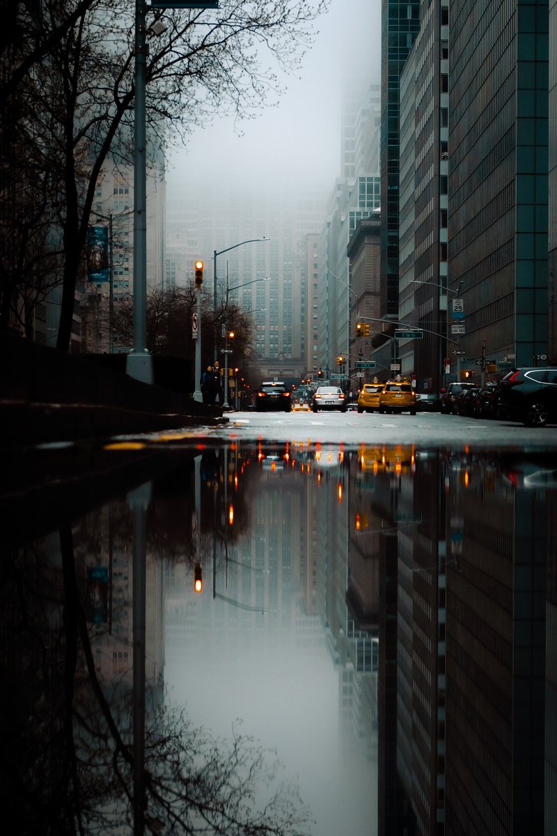 Gm to all Photographers and Collectors ✨