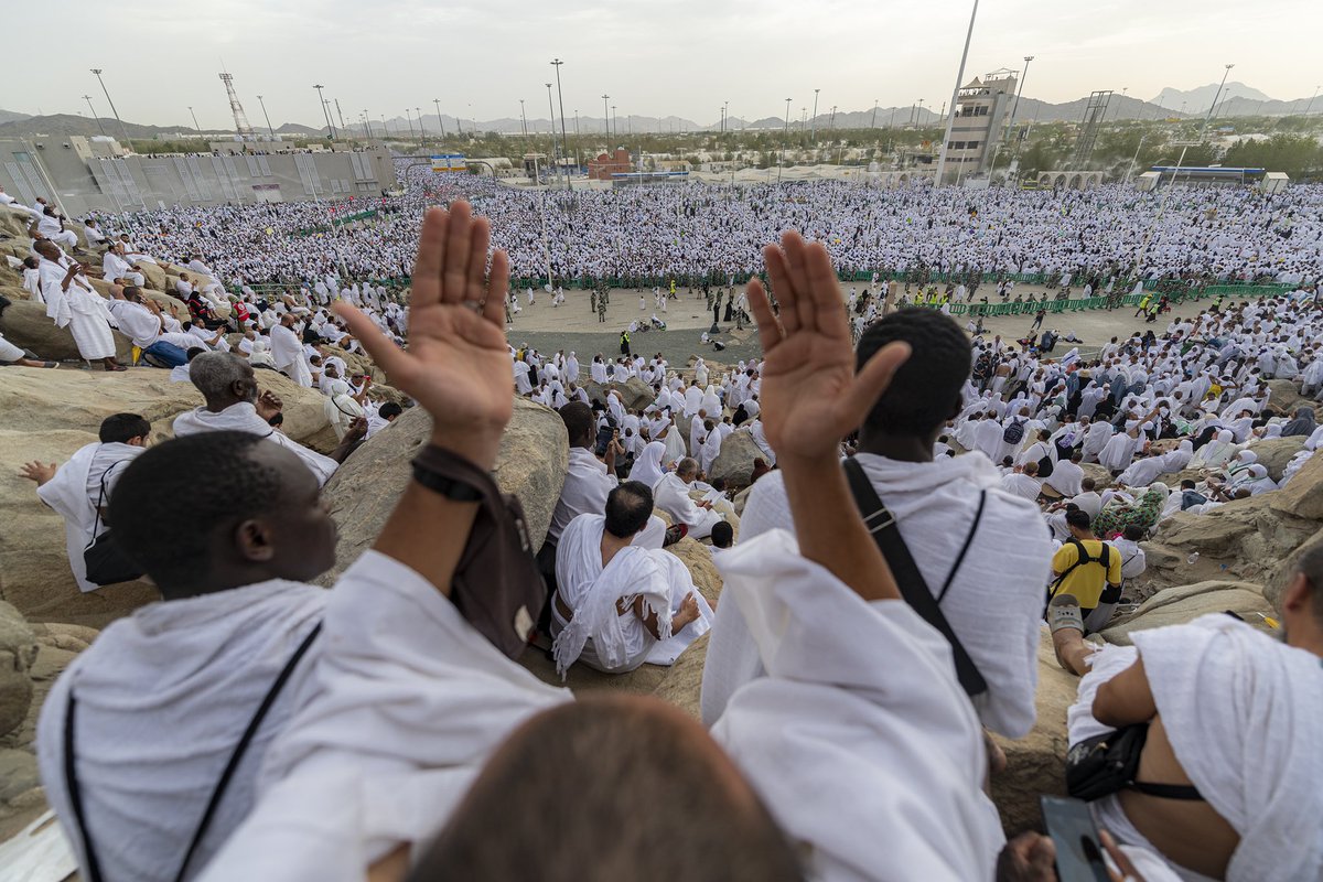 محمد الشريف tweet media