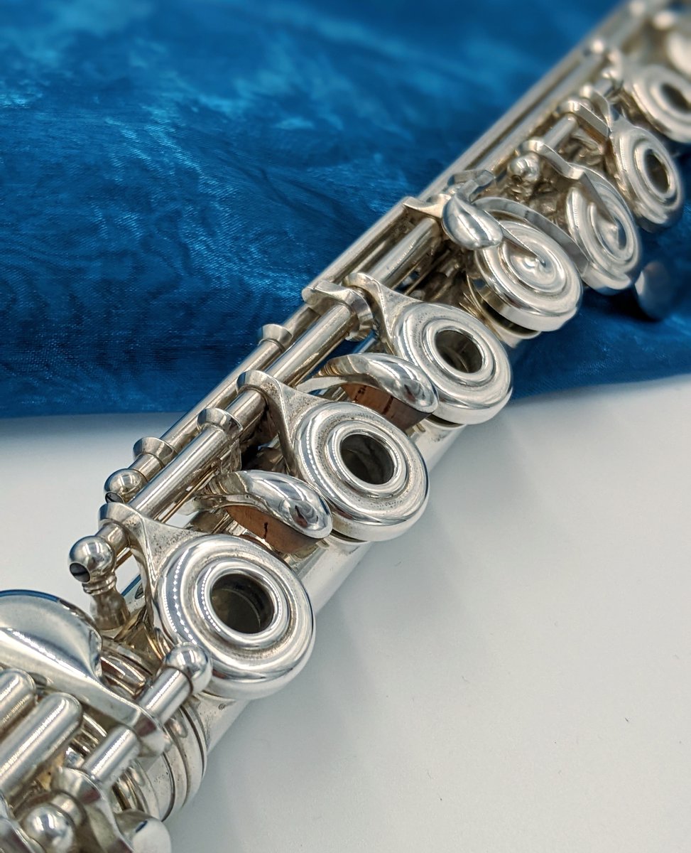 AllFlutesPlus's tweet image. This is a Haynes 5% Gold handmade flute with drawn tone holes. Includes 18k white gold riser, open holes, offset G, E mechanism, B foot. £14880

Specs and purchase: bit.ly/3ax9Fwj.

@haynesflutes #newflute #silverflute #goldflute #fluteplayers #flutesection #flutelyfe