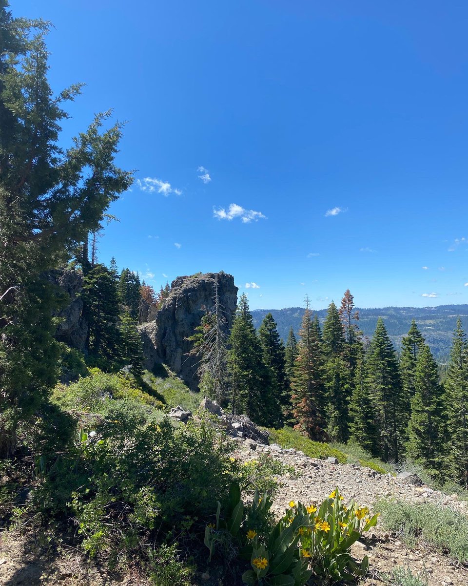 STrailrunner's tweet photo. If you’ve never ran in Tahoe I strongly suggest that you take a trip https://t.co/XQmVY33xR8