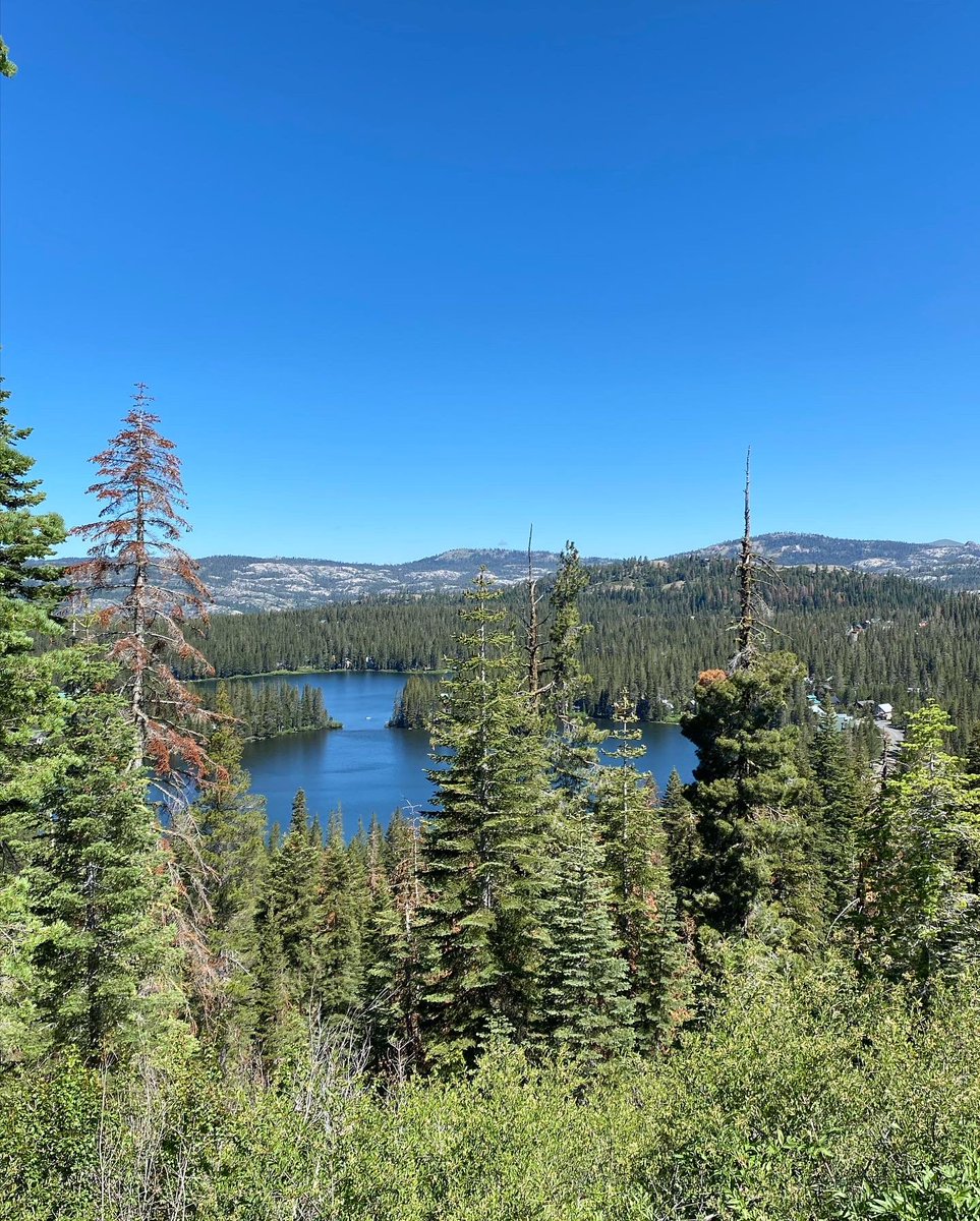 STrailrunner's tweet photo. If you’ve never ran in Tahoe I strongly suggest that you take a trip https://t.co/XQmVY33xR8
