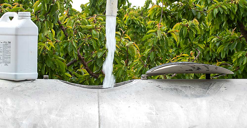 goodfruitgrower's tweet photo. It costs a lot more to grow a cherry today than it used to. A new report from @wsucahnrs economists breaks down the costs of production for 4 varieties. https://t.co/RZfuKKXx3U https://t.co/1FE4Aj4n1t