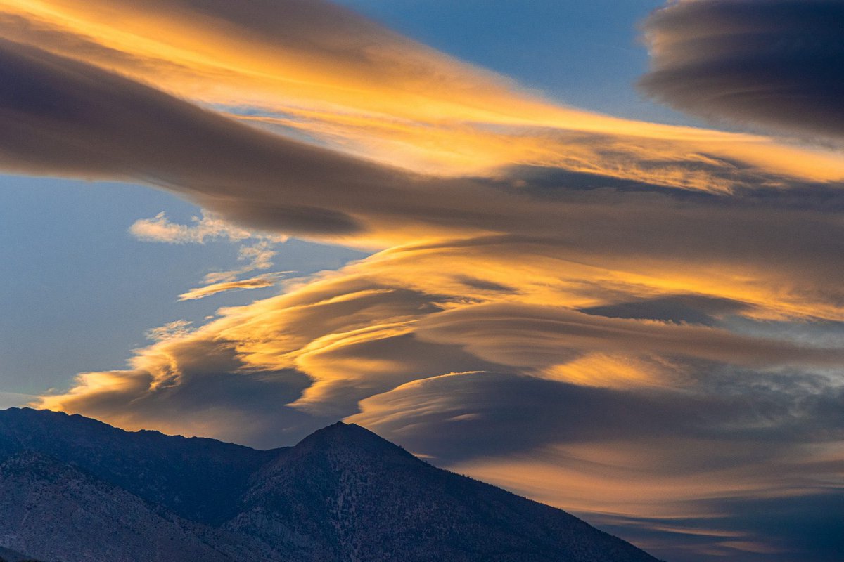 Nature Space (@naturespace_) on Twitter photo 