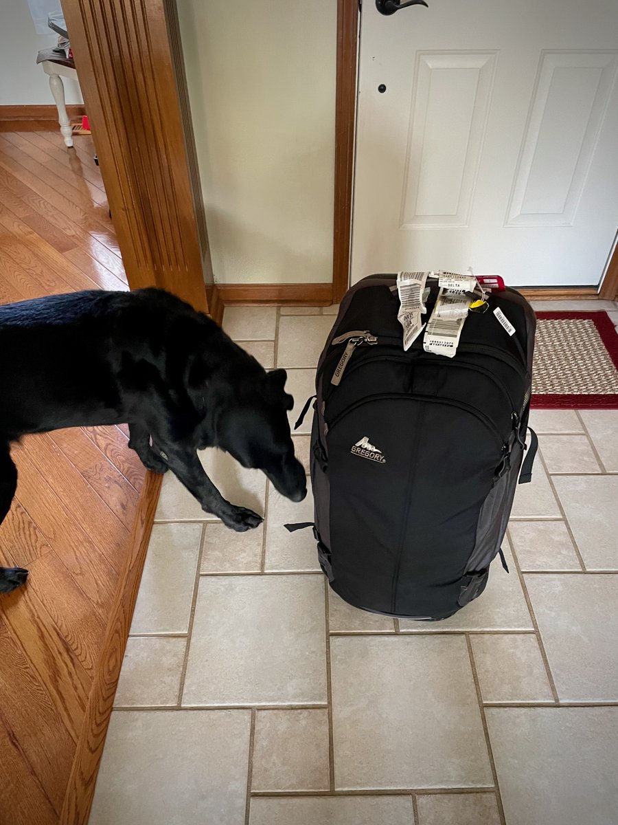 David Hancock tweet media