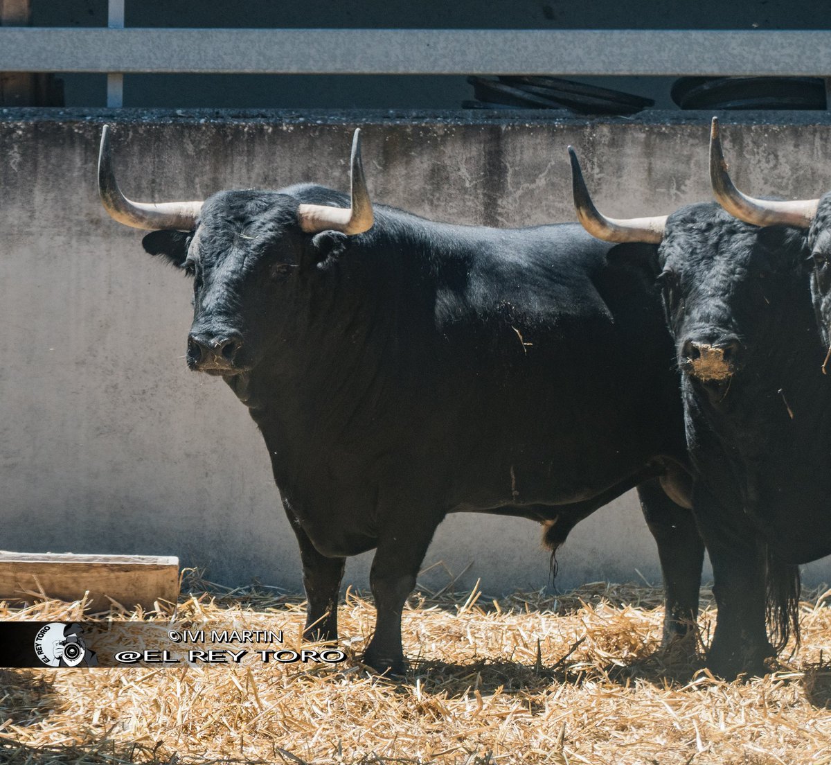 Los de Victoriano del Rio en el gas