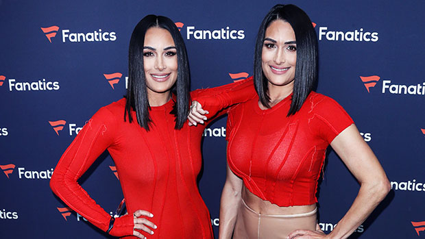 Brie Bella’s Son Buddy, 1, Confuses Her With Twin Sister Nikki Bella: Watch  https://t.co/7CMeQvOW9o https://t.co/vxElJdE7LW