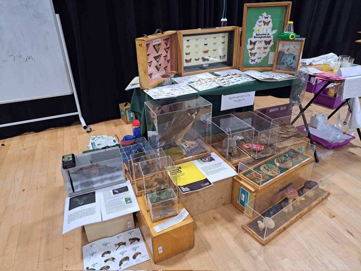 Sue_Mallender's tweet image. Really enjoyed exhibiting @NottmGirlsAcad @BigBangUKSTEM #bigbangatschool #NGAGirlsCan #NGACan @NCMGlearning @WollatonHall