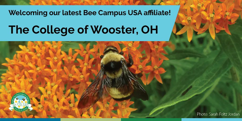 BeeCityUSA's tweet photo. It's always exciting to welcome a new affiliate to the Bee Campus USA and @BeeCityUSA USA movement! Today we are saying "hello" to @WoosterEdu in Wooster, Ohio.
#BeeCampusUSA #BeeCityUSA #ProtectBees #BringBackThePollinators https://t.co/drmchU00Cw