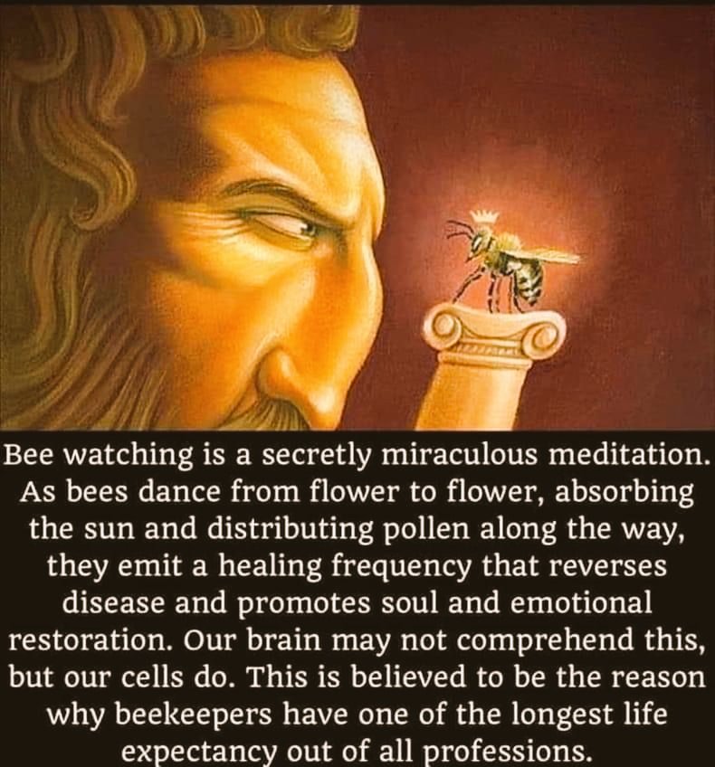 BeeConnected1's tweet photo. Did you know..? https://t.co/qCSU1cxHrA