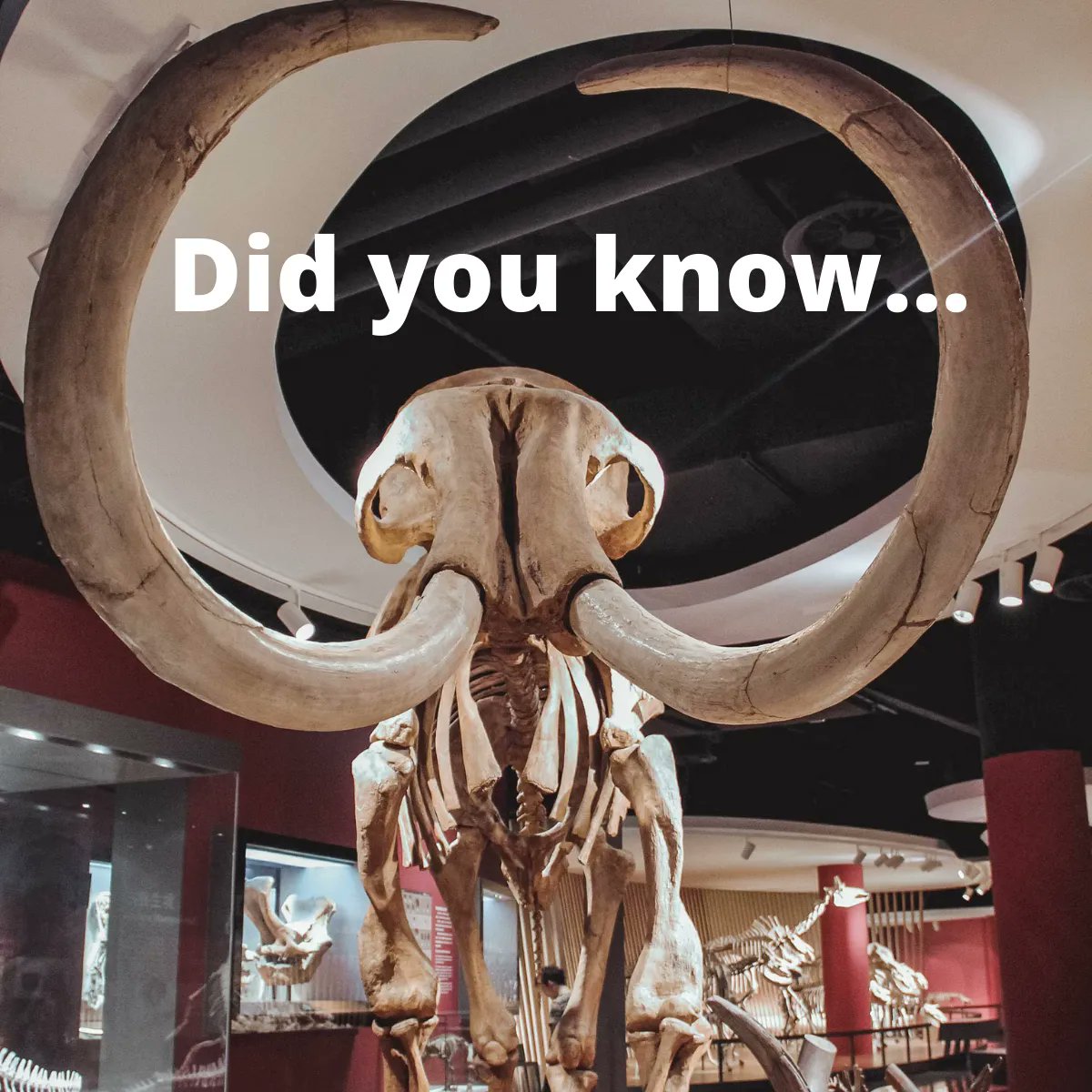 Field trips have proven to help students prepare for college and increase school test scores.

Everyone wants to go on more field trips, so what’s stopping you?