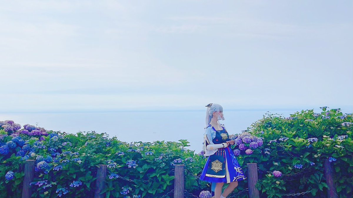 uni415_1's tweet photo. 紫陽花すごく綺麗だった！🙌✨ https://t.co/uS10xxw5RX
