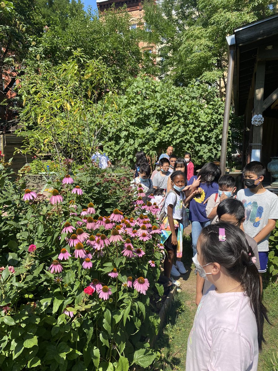 ESGEDNYC's tweet photo. PS 130 is back at Elizabeth Street Garden for summer visits.

Today we learned about the native bees and picked some blueberries for the class.  @ps130m @ElizabethStGrdn 

#ElizabethStreetGarden #SaveESG #CommunityGarden #Bees https://t.co/6Pr9wrYJXZ