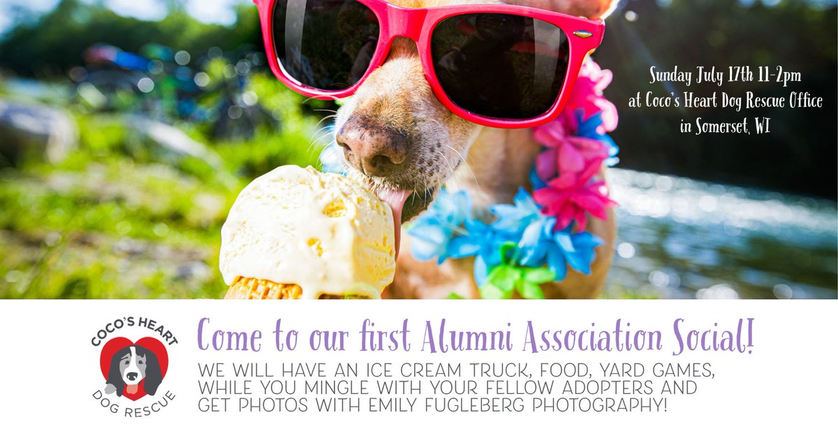 Coco's Heart Dog Rescue tweet media