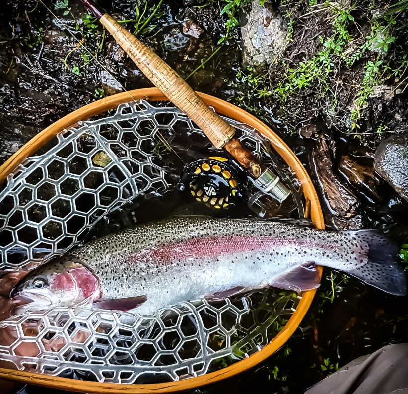 Now that's a great way to start the week
Thanks for Sharing
@pilvesami
Monday motivation.. 🤩🔥🎣 #flyfishing #flytying #flyfishinglife #snowbeeadventure #snowbee #stonfovise #stonfoflyfishing #stonfoitaly
#catchandrelease #flyfishingnation #flybum #mountains #troutunlimited