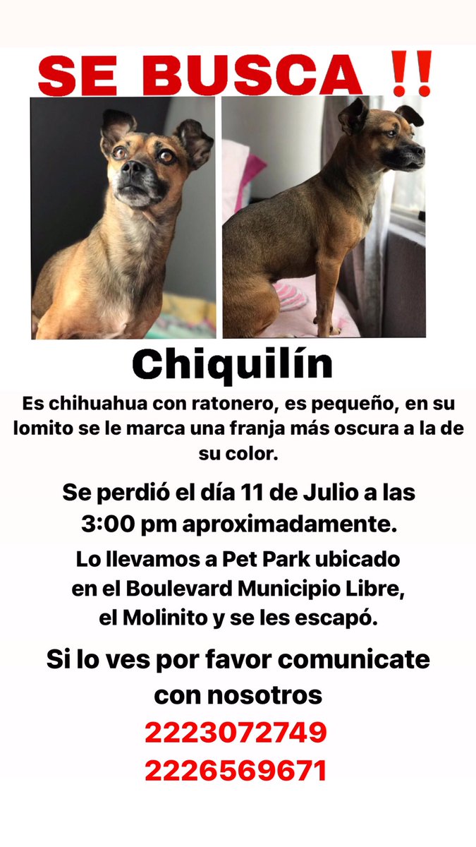 @pato_remo podrías ayudarme a compartir! Es muy importante para nosotros y queremos que regrese a casa 🥺