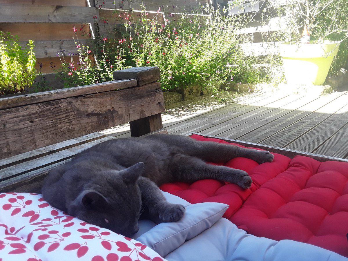 Aurelie FLAHAUT tweet media