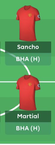 FPL Bison tweet media