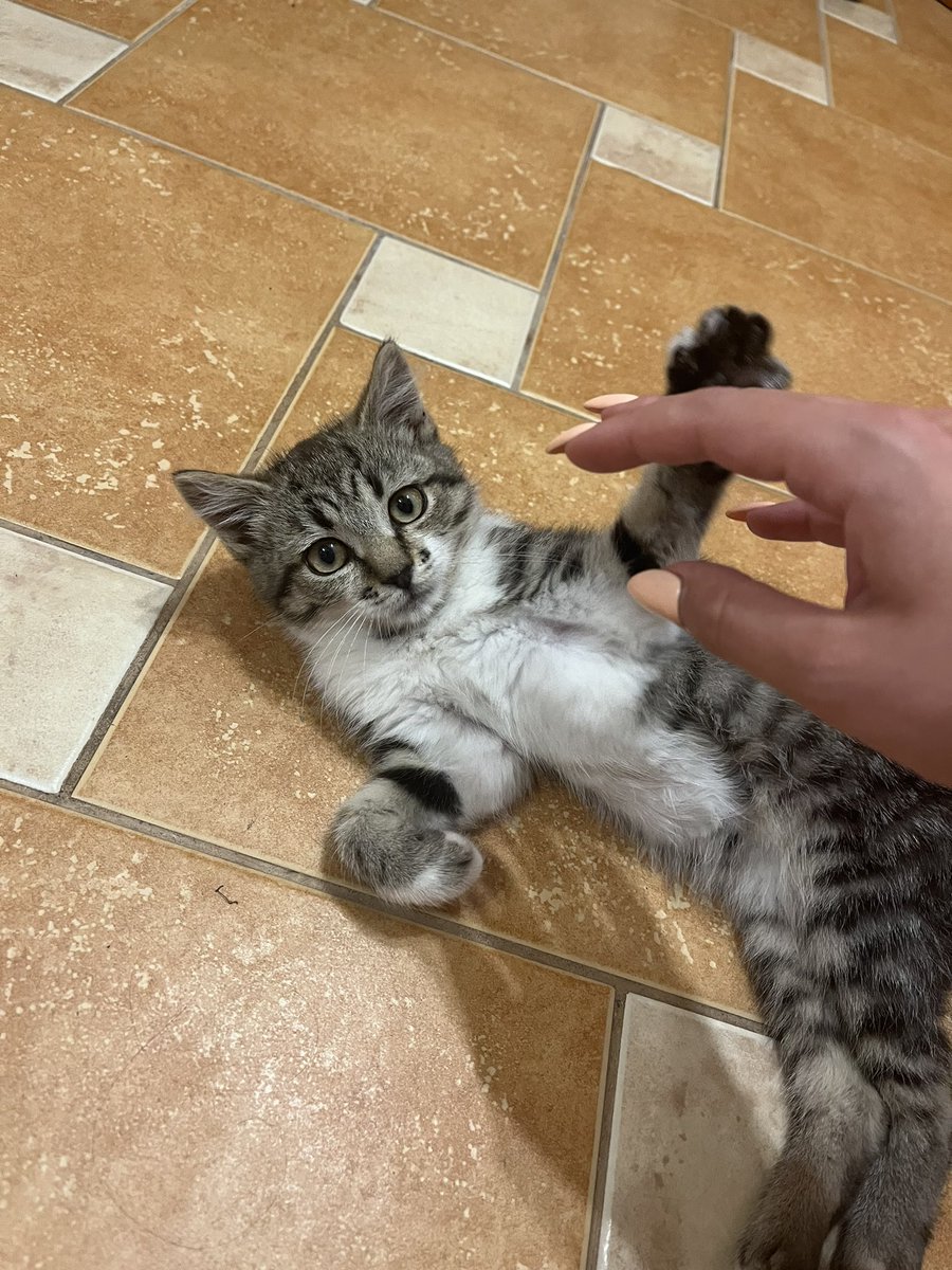 _malinka_185's tweet photo. 27.06.2022 моя новая подружка🤍 https://t.co/L6RwnPsO9F