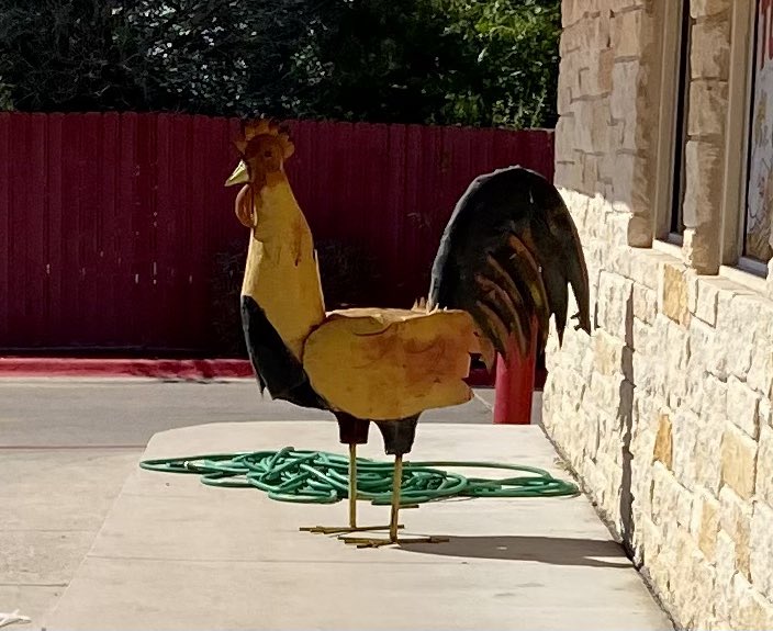 RachelKay1876's tweet photo. Went the whole weekend without having to see an unsolicited cock, then we go to eat on Sunday and have to see this just out in the open. Smh https://t.co/rNd2p7jSng