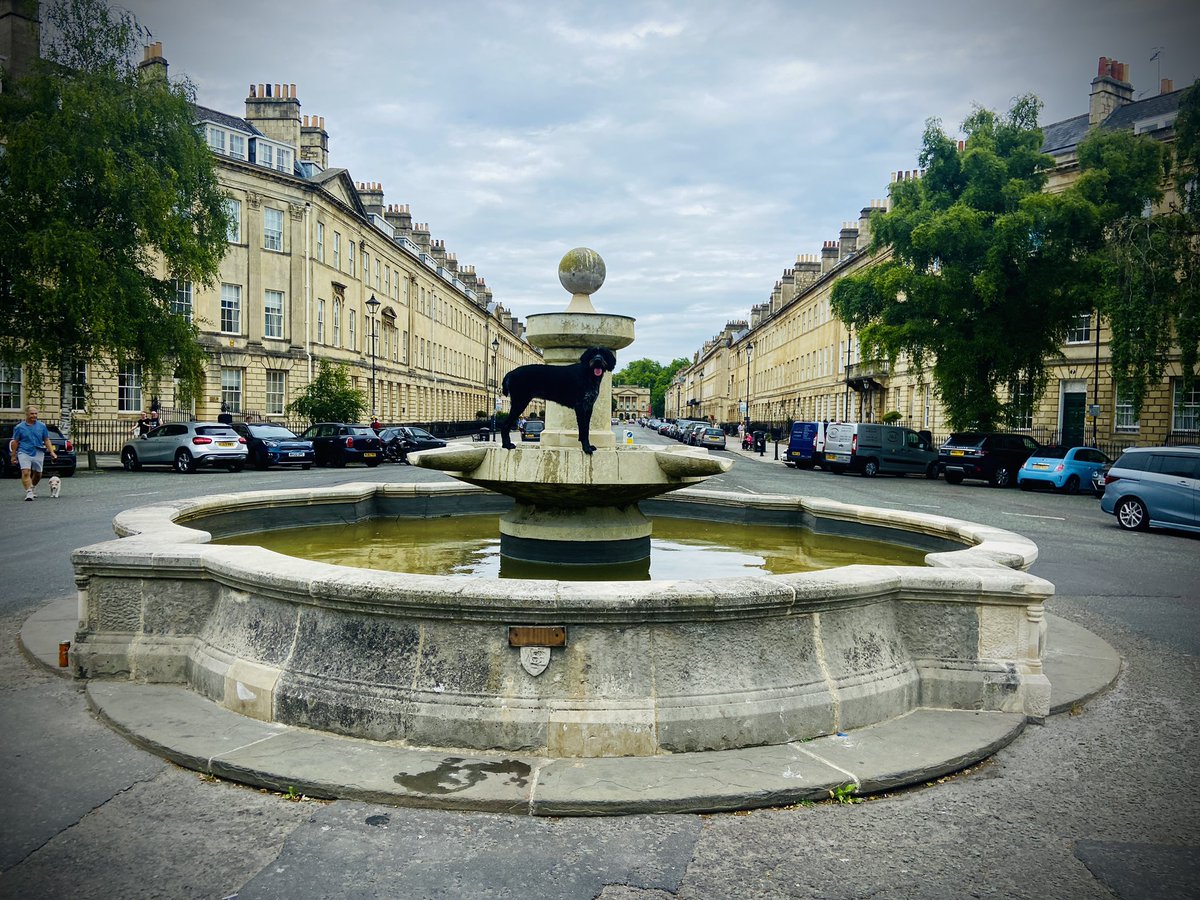 simoninbath's tweet photo. Dog just taking a luxury bath on great Pultney street @DogsTwt @BBCBreaking @SkyNews @cooldognfts @bbcpointswest @PhotonewsPN https://t.co/Eq1ozkJsjO