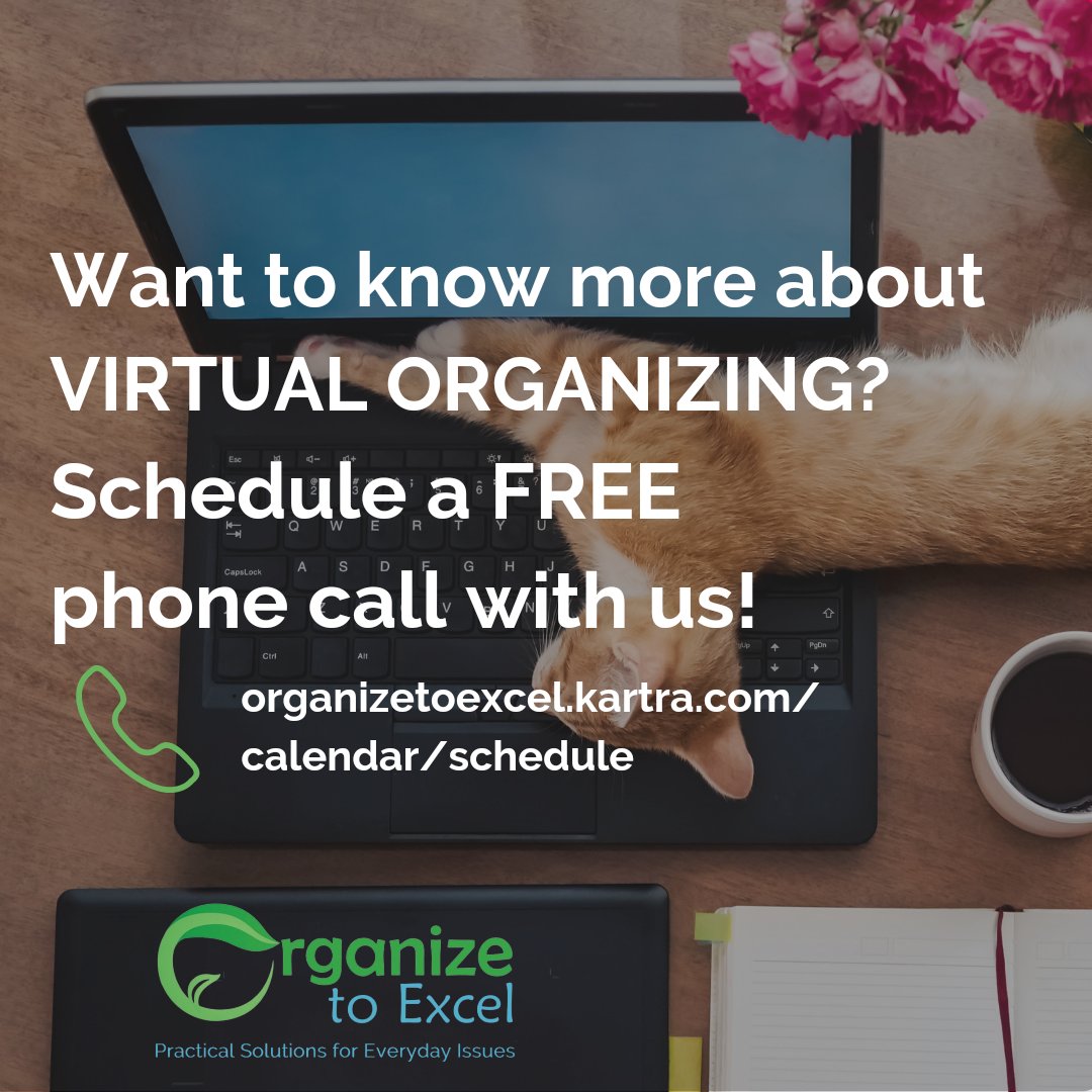 ☎️organizetoexcel.kartra.com/calendar/sched…
