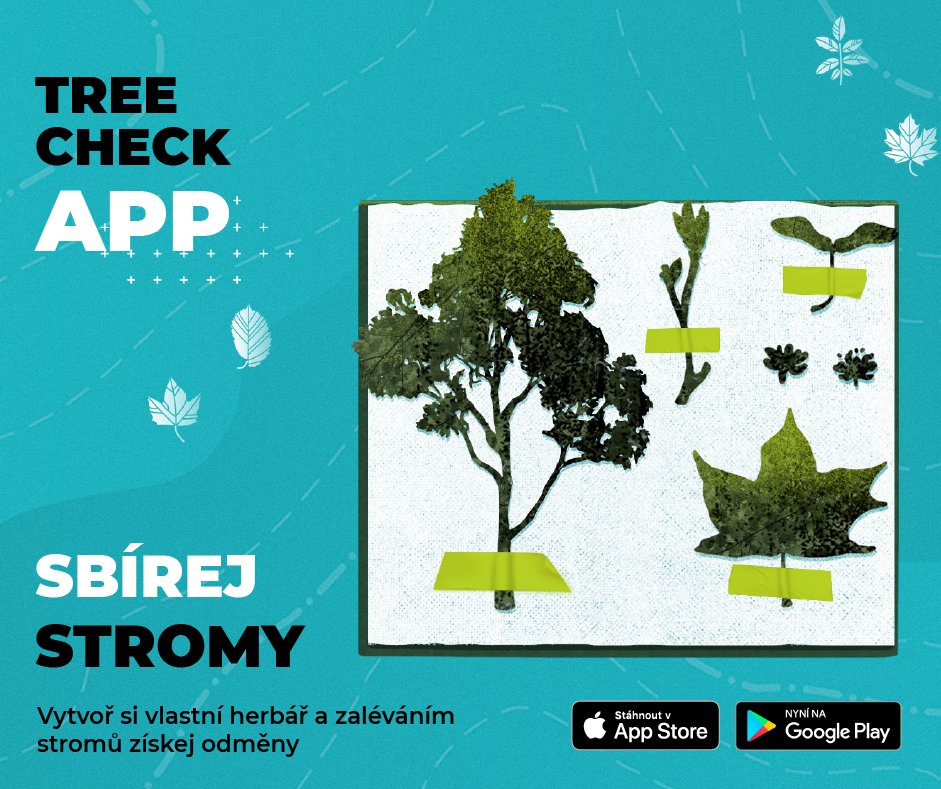 adapterra's tweet photo. Proč chytat pokémony, když můžete sbírat🌳stromy? Místo koukání do telefonu budete hledat stromy, které ještě chybí ve vašem herbáři. Ten je součástí naší apky, která rozpozná strom pomocí 📷. #TreeCheckApp najdete na Google Play, nebo v App Store.
Info👉 https://t.co/R0USBeB1W8 https://t.co/4m8Wsyg9RZ