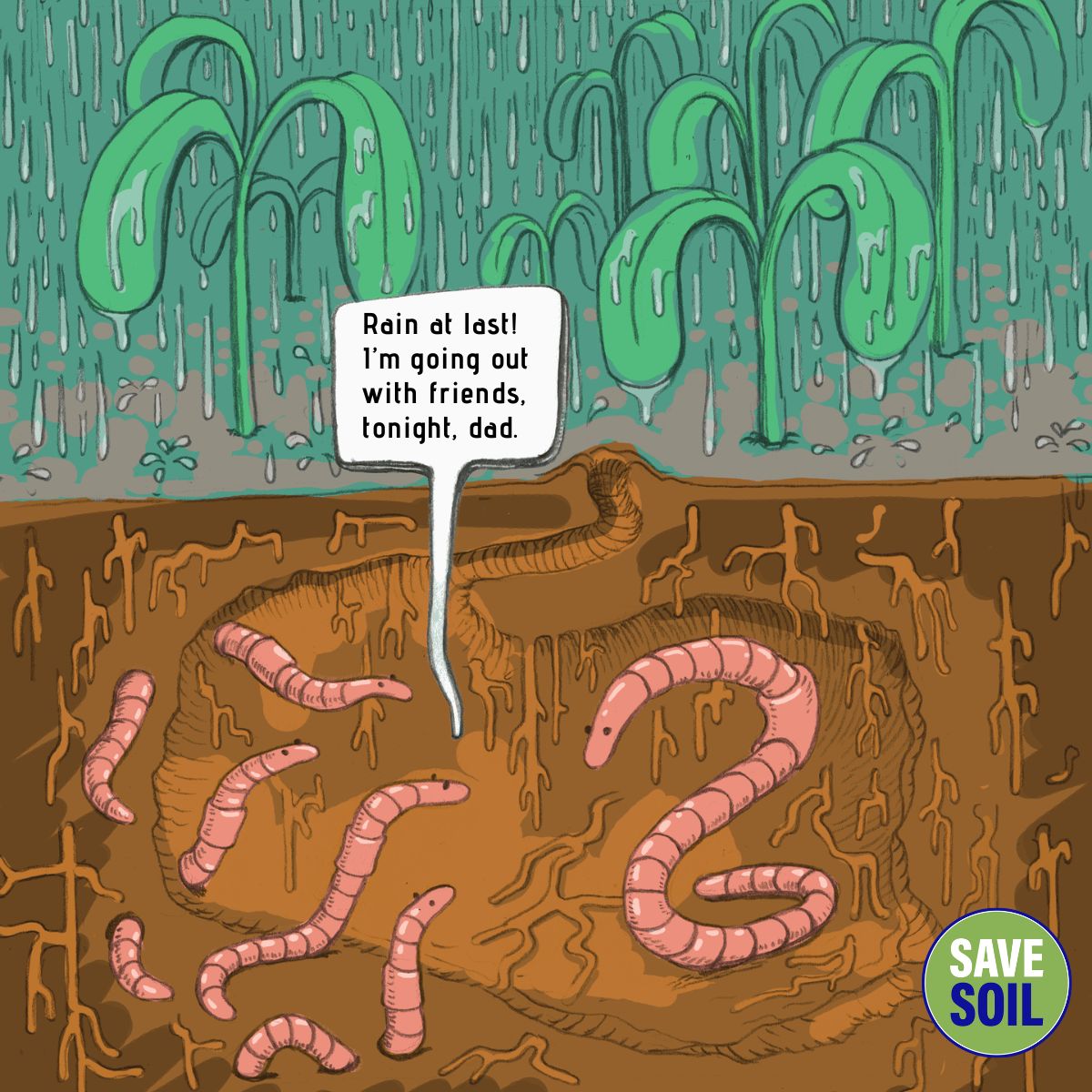 Conscious Planet #SaveSoil tweet media