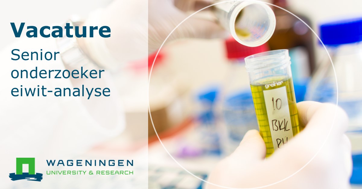 WURfoodsafety's tweet photo. 📣Ben jij bezig met de #eiwittransitie en kan je je kennis strategisch inzetten? Pas je deze kennis graag toe om voeder- &amp; #voedselveiligheid voor de volksgezondheid te verbeteren?

🚨#vacature 👉 (senior) #onderzoeker eiwit analyse bij @WURfoodsafety https://t.co/jKRJse7Xnv https://t.co/hxN129vh8F