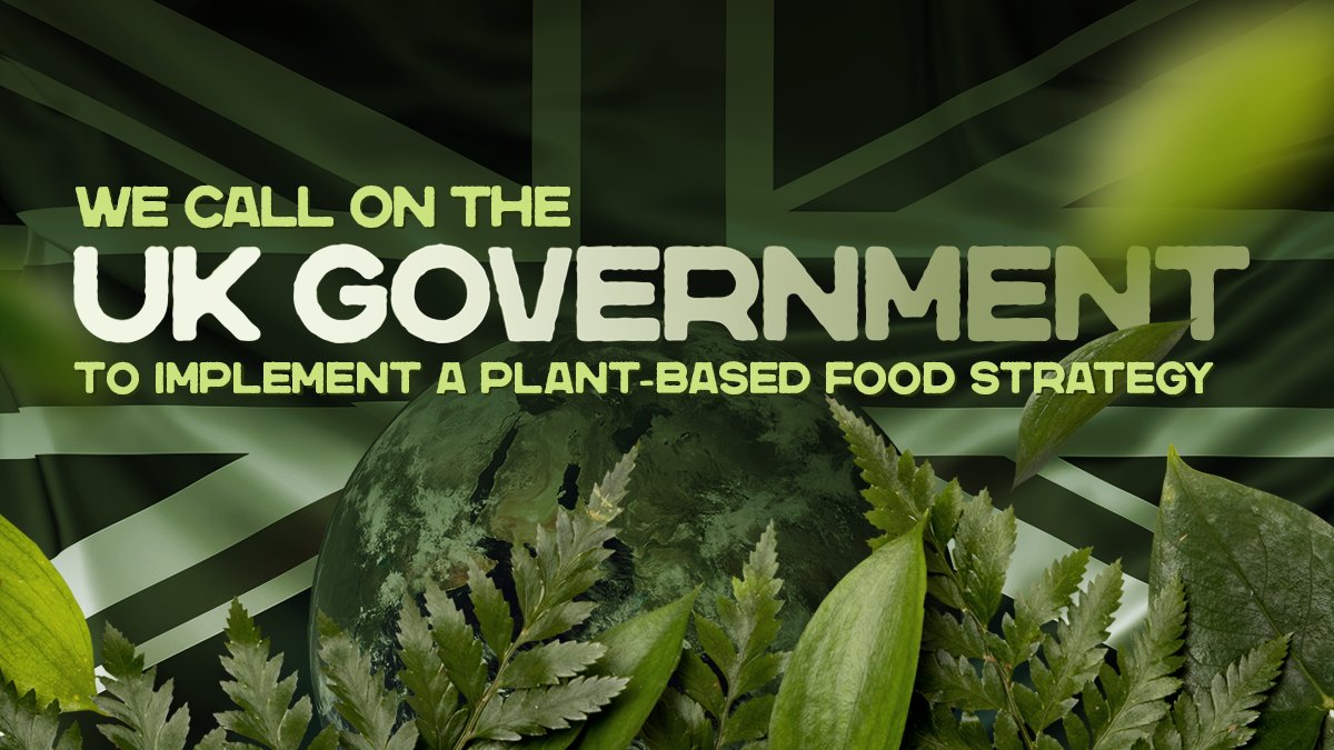 Animal Save México tweet media