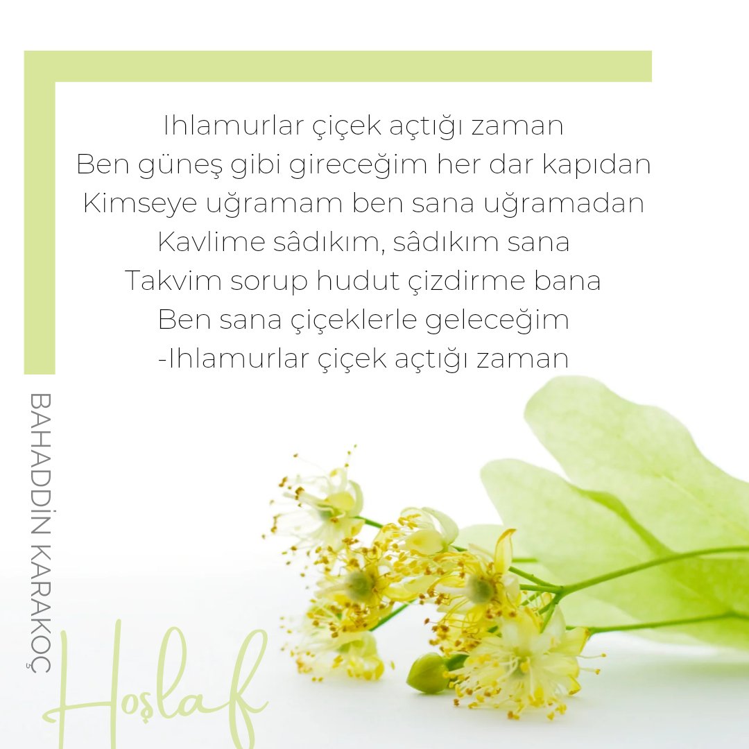 Takvim sorup hudud çizdirme bana...