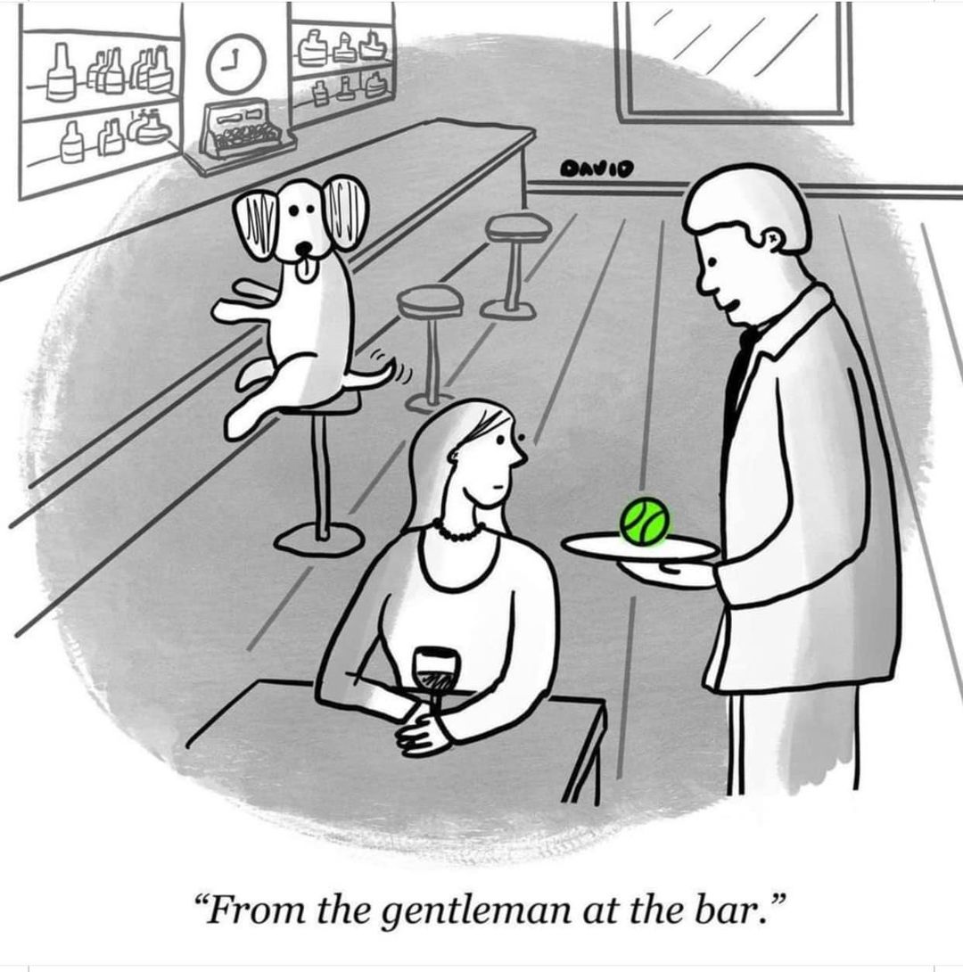 Ben Rhys Palmer (@benrhyspalmer) on Twitter photo 