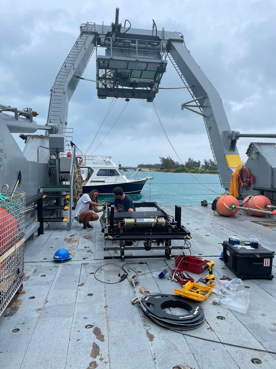 Leocadio Blanco-Bercial (@miz_bios) on Twitter photo Here we go again! Another #NSFfunded time at sea, together with the <a href="/BatsBermuda/">Bermuda Atlantic Time-Series Study (BATS 🦇)</a> team. Assembling the MOCNESS with <a href="/rochi_rodriguez/">Rocio B Rodriguez Perez</a> - leaving tomorrow morning! Here we go again! Another #NSFfunded time at sea, together with the <a href="/BatsBermuda/">Bermuda Atlantic Time-Series Study (BATS 🦇)</a> team. Assembling the MOCNESS with <a href="/rochi_rodriguez/">Rocio B Rodriguez Perez</a> - leaving tomorrow morning!
