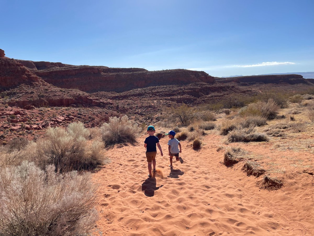 RecursionPharma's tweet photo. Time flies when you’re having fun! Twice a year, we shut down so #Recursionauts can recharge, and return to work ready to do the best work of their lives. We’re looking forward to sharing more highlights from our #OutsideRecursion summer break. https://t.co/thiVwBXfw8